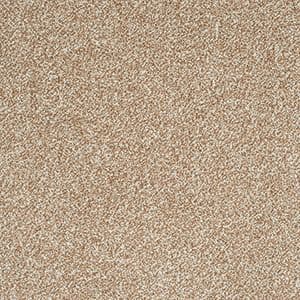 Abingdon Carpets: Stainfree Arena Plus - Malt