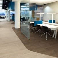 Acoustix Forest FX PUR