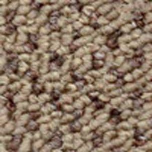 jhs Commercial Carpet: Loop Pile: Mutual - Indian-Desert