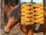 Brosse paddock chevaux